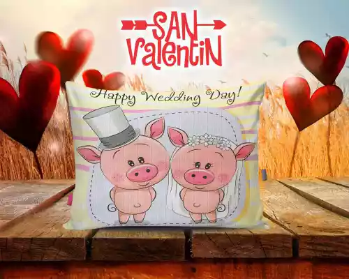 vectores plantilas SAN VALENTIN,FESTEJO,FESTIVIDAD,AMOR,DUOS,COJINES,CARICATURA,DISNEY,